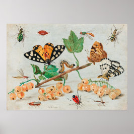 Vintage illustration of butterflies on berries poster