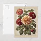 Vintage Illustration of Dahlias  Postkarte (Vorne/Hinten)