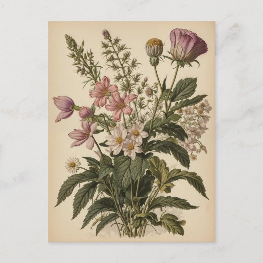 Vintage Illustration of Wildflowers  Postkarte (Vorderseite)