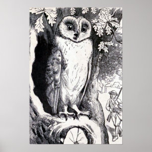Vintage Illustration "Owl" Poster