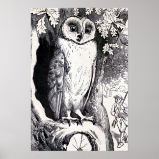 Vintage Illustration "Owl" Poster