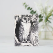 Vintage Illustration "Owl" Postkarte (Stehend Vorderseite)