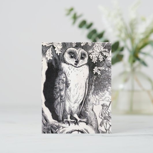 Vintage Illustration "Owl" Postkarte (Stehend Vorderseite)