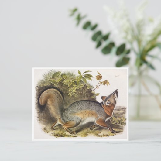 Vintage Illustration Postkarte (Stehend Vorderseite)