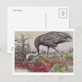 Vintage Illustration Postkarte (Vorne/Hinten)