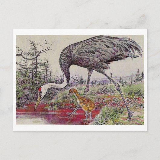 Vintage Illustration Postkarte (Vorderseite)