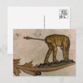 Vintage Illustration Postkarte (Vorne/Hinten)