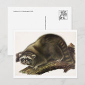 Vintage Illustration Postkarte (Vorne/Hinten)