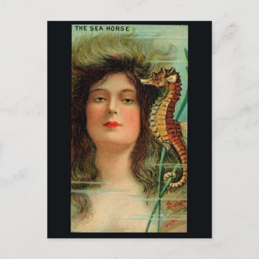 Vintage Illustration Postkarte (Vorderseite)