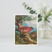 Vintage Illustration Postkarte (Stehend Vorderseite)
