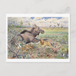 Vintage Illustration Postkarte