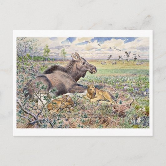 Vintage Illustration Postkarte (Vorderseite)