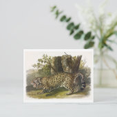 Vintage Illustration Postkarte (Stehend Vorderseite)