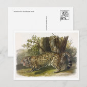 Vintage Illustration Postkarte (Vorne/Hinten)