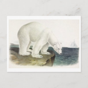 Vintage Illustration Postkarte