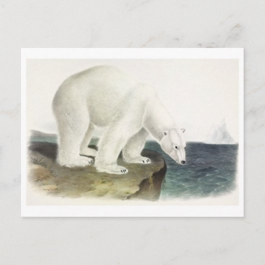 Vintage Illustration Postkarte (Vorderseite)