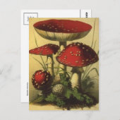 Vintage Illustration Postkarte (Vorne/Hinten)