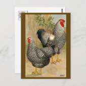 Vintage Illustration Postkarte (Vorne/Hinten)