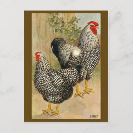 Vintage Illustration Postkarte