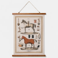 Vintage Illustration Race Race Reitsport