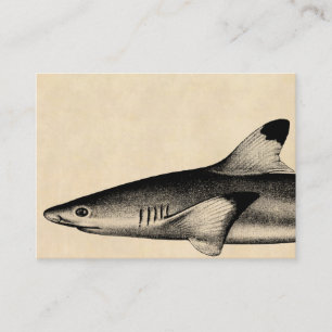 Vintage Illustration Riffhai Blacktip-Hai Visitenkarte