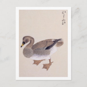 Vintage-Illustration: Saatgans Postkarte