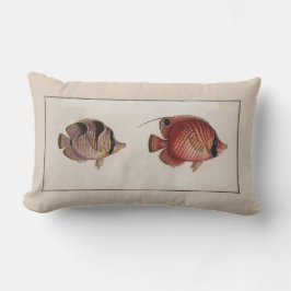 Vintage Illustration Schmetterlingsfische Lendenkissen