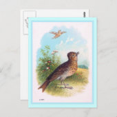 Vintage Illustration "The Lark" Postkarte (Vorne/Hinten)