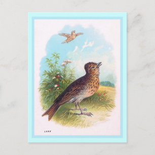 Vintage Illustration "The Lark" Postkarte