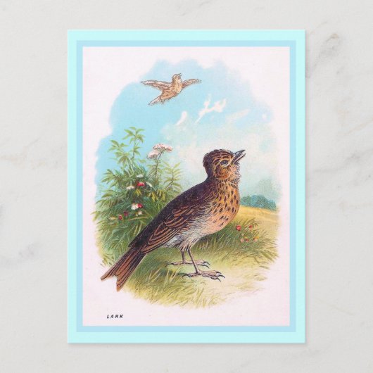 Vintage Illustration "The Lark" Postkarte (Vorderseite)