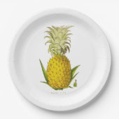 Vintage Illustration von Ananas Pappteller (Vorderseite)