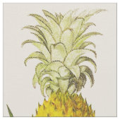 Vintage Illustration von Ananas Stoff (Nahaufnahme)