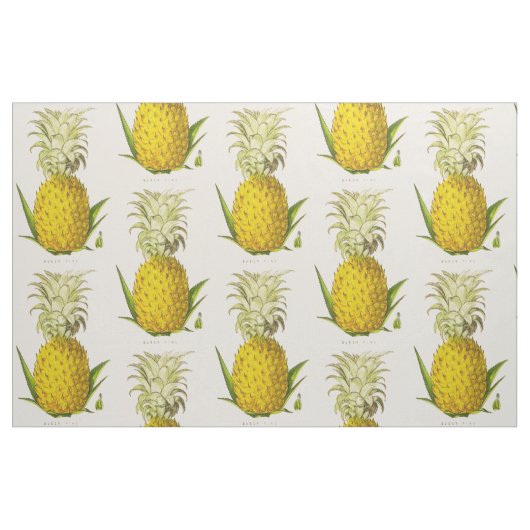 Vintage Illustration von Ananas Stoff (Fat Quarter (45,7 x 55,9 cm))