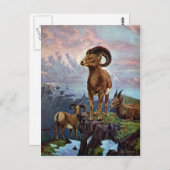 Vintage Illustration von Bighorn Sheep Postkarte (Vorne/Hinten)