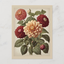 Vintage-Illustration von Dahlien  Postkarte
