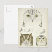 Vintage Illustration von Drei Schalen Postkarte (Vorne/Hinten)