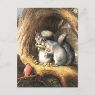 Vintage-Illustration von Eichhörnchen und Vogel Postkarte