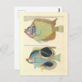 Vintage Illustration von farbigen Fischen Postkarte (Vorne/Hinten)