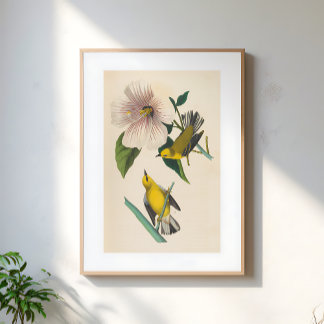 Vintage-Illustration von gelben Vögeln auf Blumen Poster