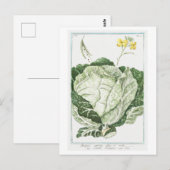 Vintage Illustration von Grünkohl Postkarte (Vorne/Hinten)