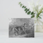 Vintage Illustration von Stallion Horse Postkarte (Stehend Vorderseite)