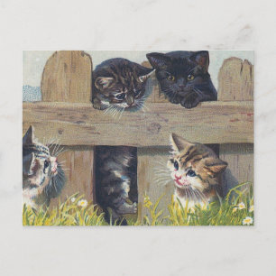 Vintage-Illustration von vier spielenden Kätzchen Postkarte