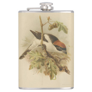Vintage Illustration von Woodchat Shrike Flachmann