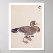 Vintage-Illustration: Wilde Gans Poster (Vorne)