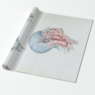 Vintage Illustrations-Anatomie-menschlicher Kopf Geschenkpapier