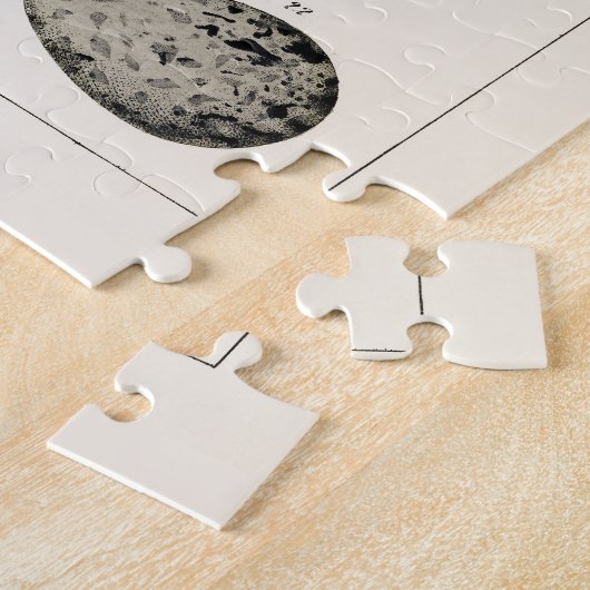 VINTAGE ILLUSTRATIONSBIRDS EIER JIGSAW PUZZLE (Seite)