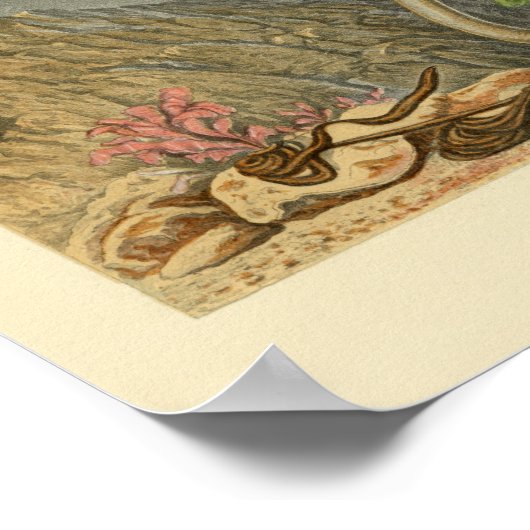 Vintage Illustrationsdrucke für den Schiffslebensz Poster (Ecke)