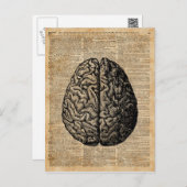 Vintage Illustrationskunst des menschlichen Gehirn Postkarte (Vorne/Hinten)