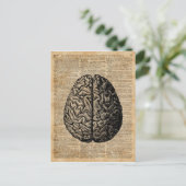 Vintage Illustrationskunst des menschlichen Gehirn Postkarte (Stehend Vorderseite)