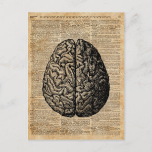 Vintage Illustrationskunst des menschlichen Gehirn Postkarte